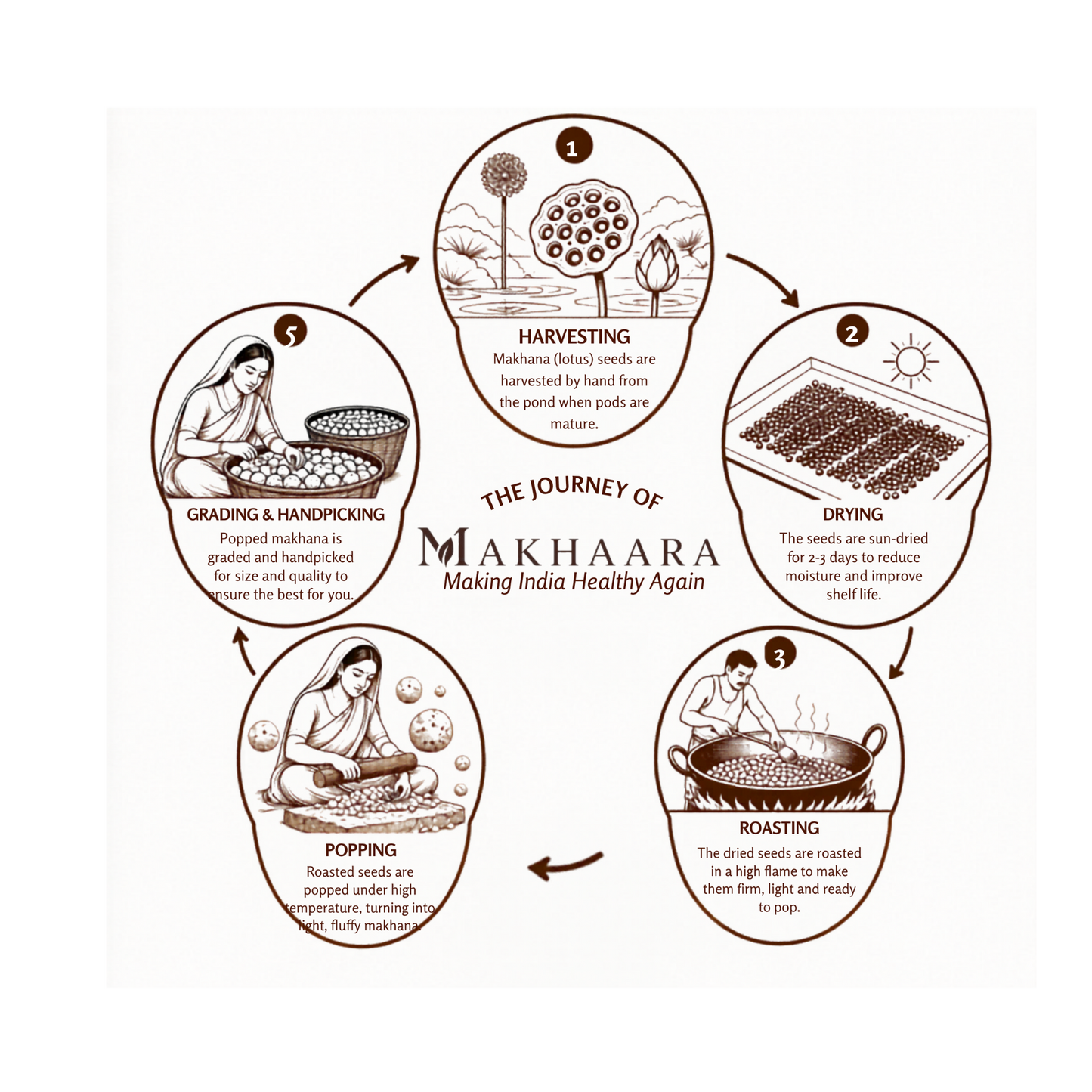 MakHaara Premium Raw Makhana Combo Pack (250 g × 2)